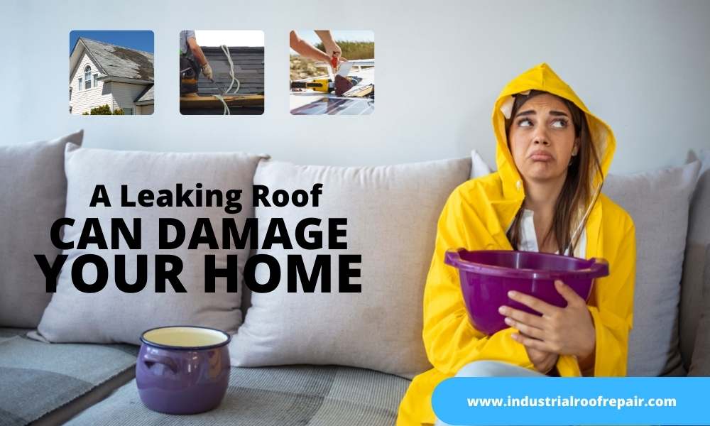 roof-leak-repair-expert-1 client-image
